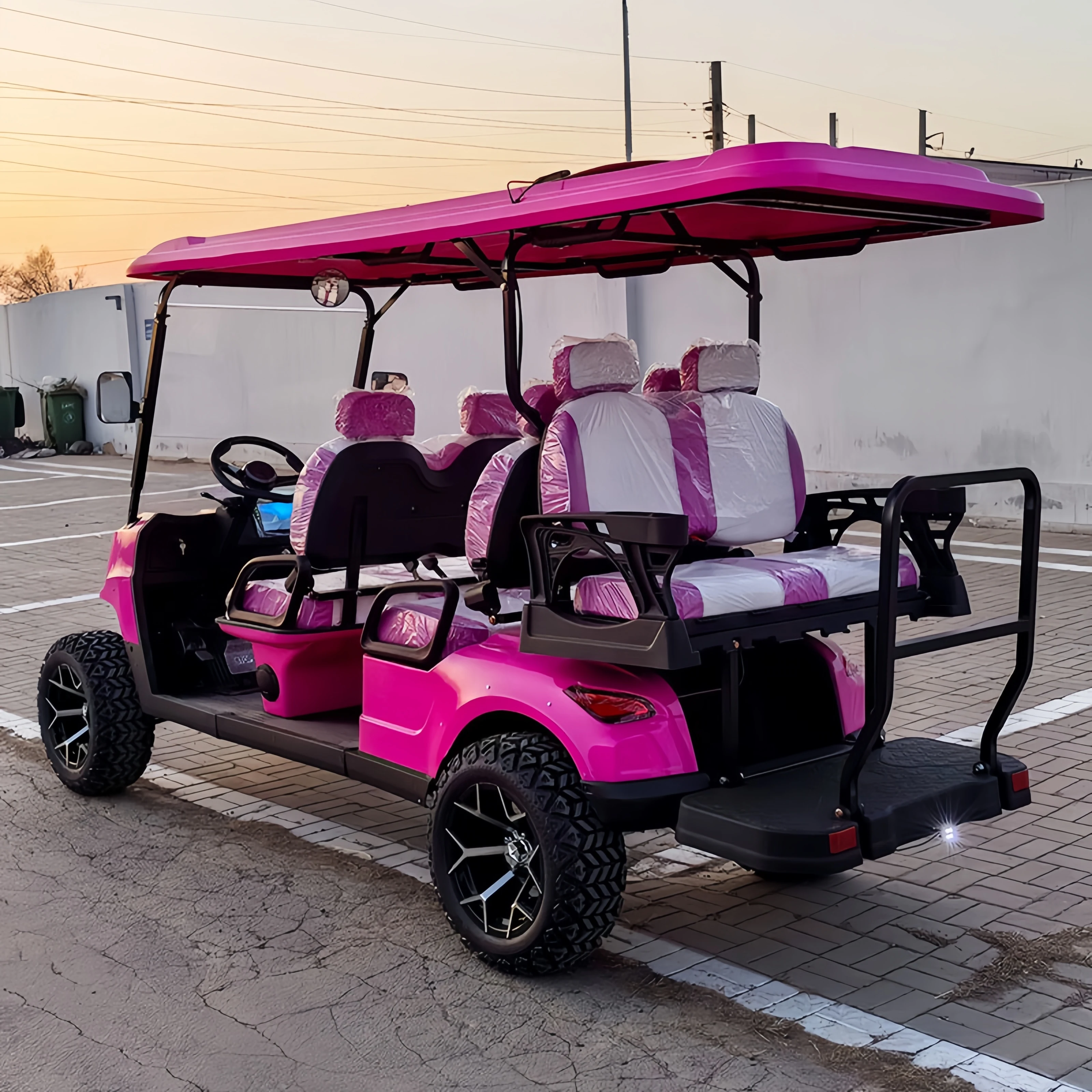 New 4 Wheel off Road Electric Golf Cart Club Car with CE