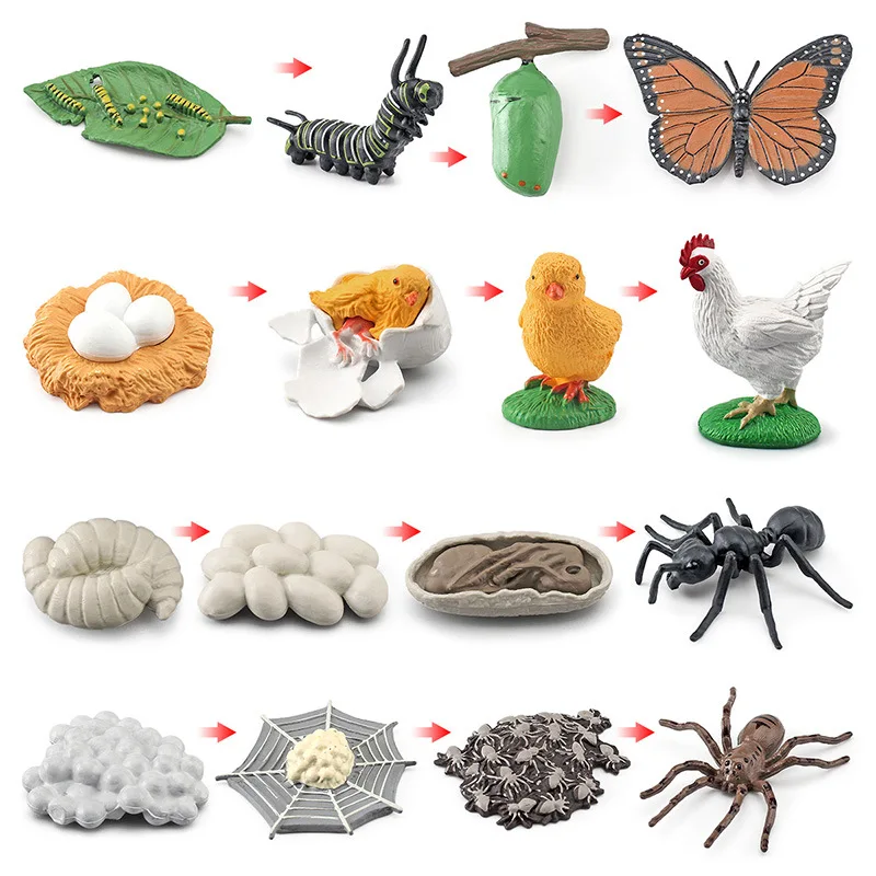 Animal Life Cycle Animal Model Set Toys Growth Life Cycle Insect Dinosaurio Montessori Toy Biology Accessories Cognitive Toys 6