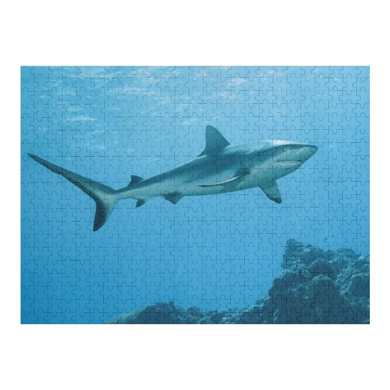 

Reef sharks Elegant hunters Jigsaw Puzzle Jigsaw Pieces Adults Scale Motors Wooden Name Custom Personalized Puzzle