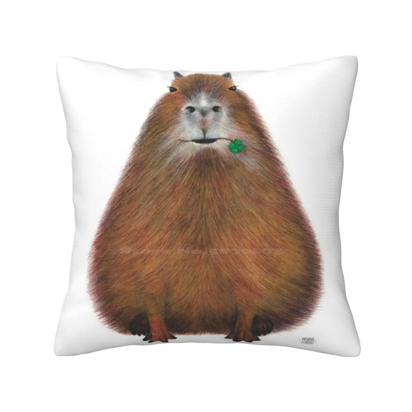 

Capybara High Quality , Hand Made Illustration Throw Cushion Pillow Cover Capybara Animal Color Childish