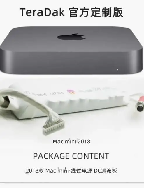 TeraDak Pro 선형 전원 공급 장치 변환 모듈 MAC MINI/Macbook/실버 도금 와이어 + 트리플 필터 사용 DIY DC12V