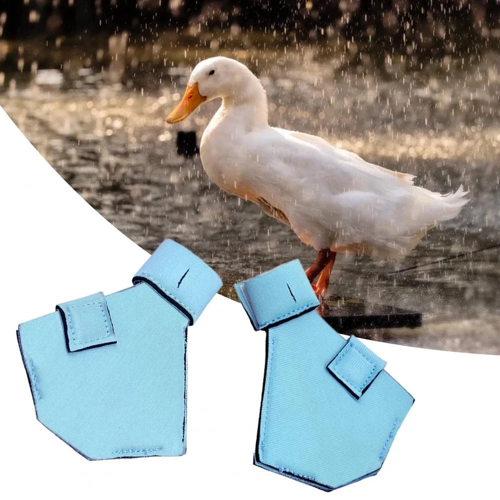 Waterproof Lightweight Pet Duck Shoes Casual Walking Booties Footwear