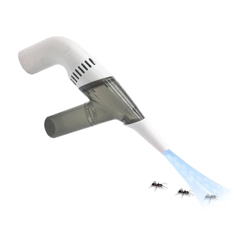 Ants Ant Farm Queen Accessories Ants Farm Ant Insect Collection