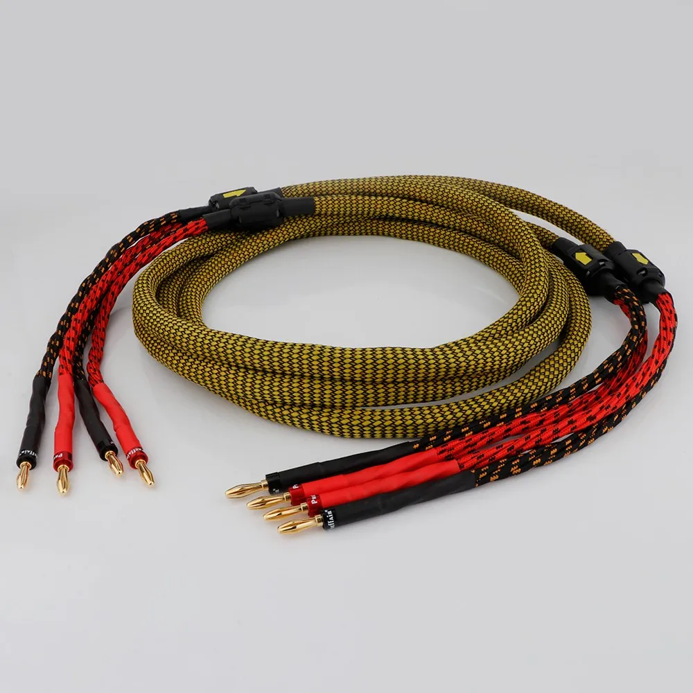 Coppia Di Altoparlanti Ofc Cavo Amplificatore Cavo Audio Spine A Banana Placcate In Oro Per Spine A Banana Per Amplificatore Lettore Cd Dvd