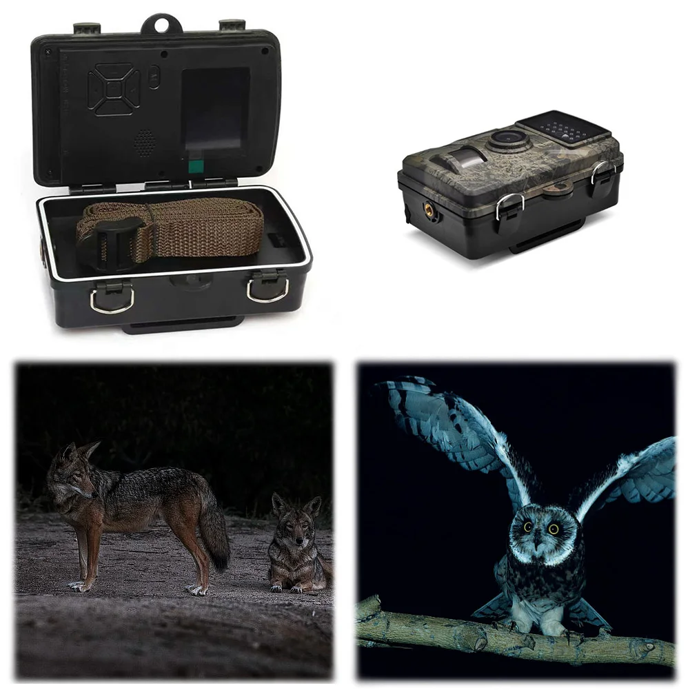 Caméra de piste de chasse étanche avec vision nocturne infrarouge pour observation animale et sécurité extérieure