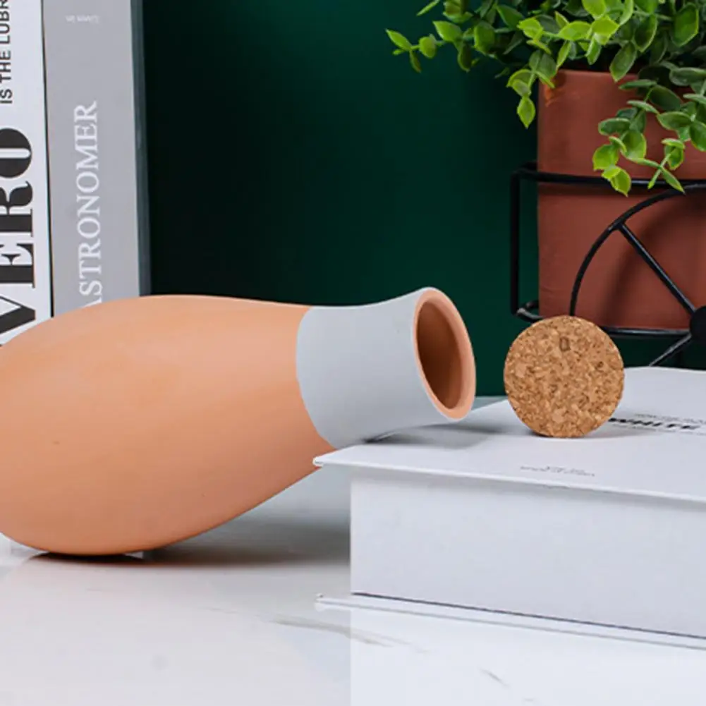 Low Maintenance Plant Watering Clay Watering System Automatic Plant Watering System with Self-watering Spikes for Pots Slow 3