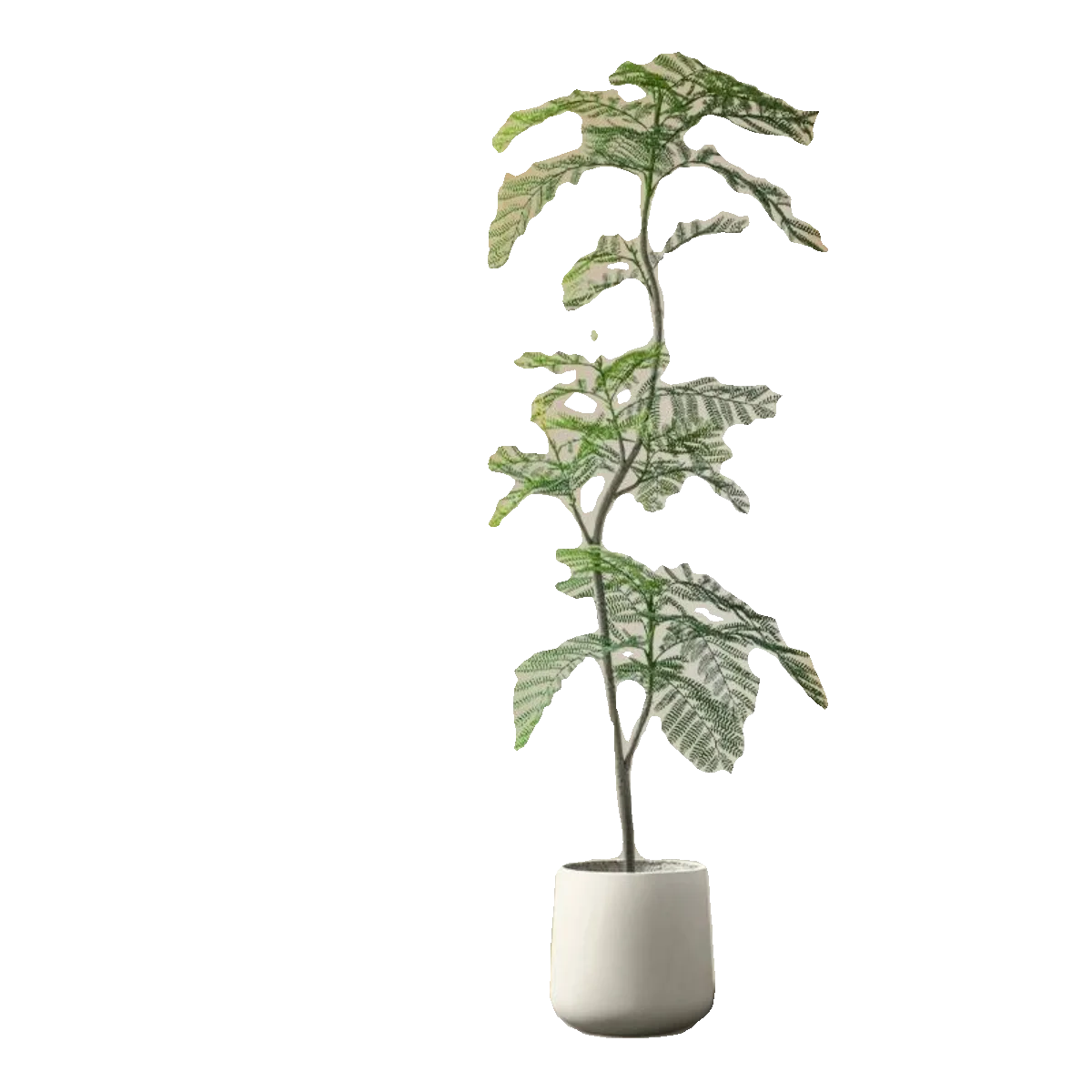 Piante In Vaso Simulate Blu Jacaranda Soggiorno Decorazione