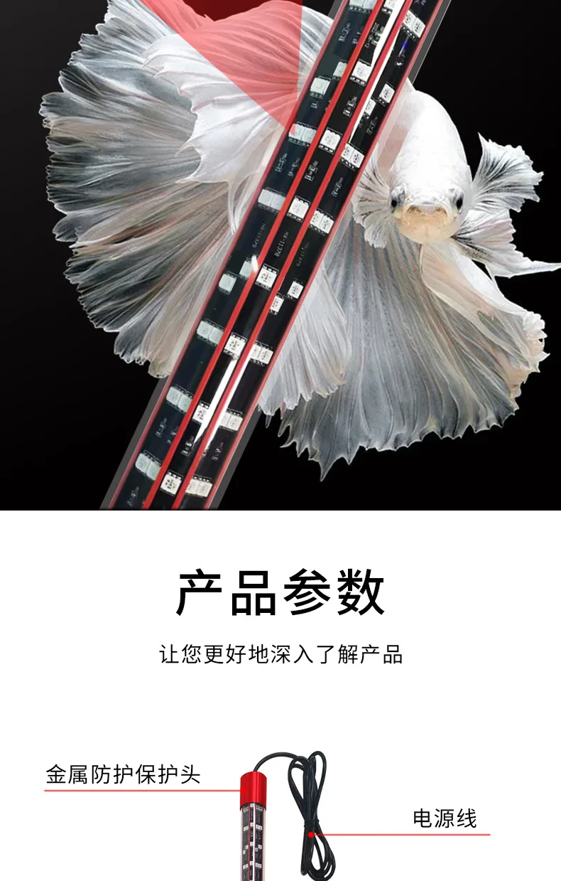 キ*ン様 Arowana Magical Light Series キ*ン様 Arowana Magical Light Series Arowana Special New Upgrade