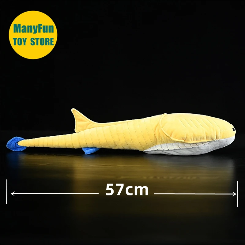 Sacabambaspis High Fidelity Jawless fish Plushie Armored Fish Plush Toys Lifelike Ordovician Fish Animals Simulation Stuffed Toy 4