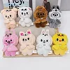 10cm SKZOO Children's Toy Plush Keychain Stray KidsFM Weekly Cloak Dress Doll Fang Can Same Style Accessory Gift