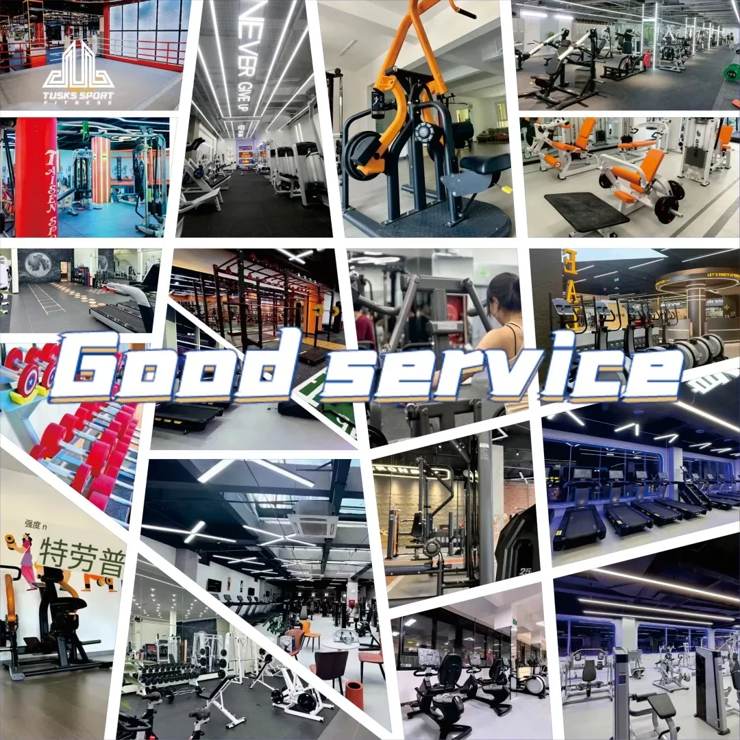 Sports Multifunction Cable-Driven Gym Bench Flat Weight Bench Press Exercise Workout