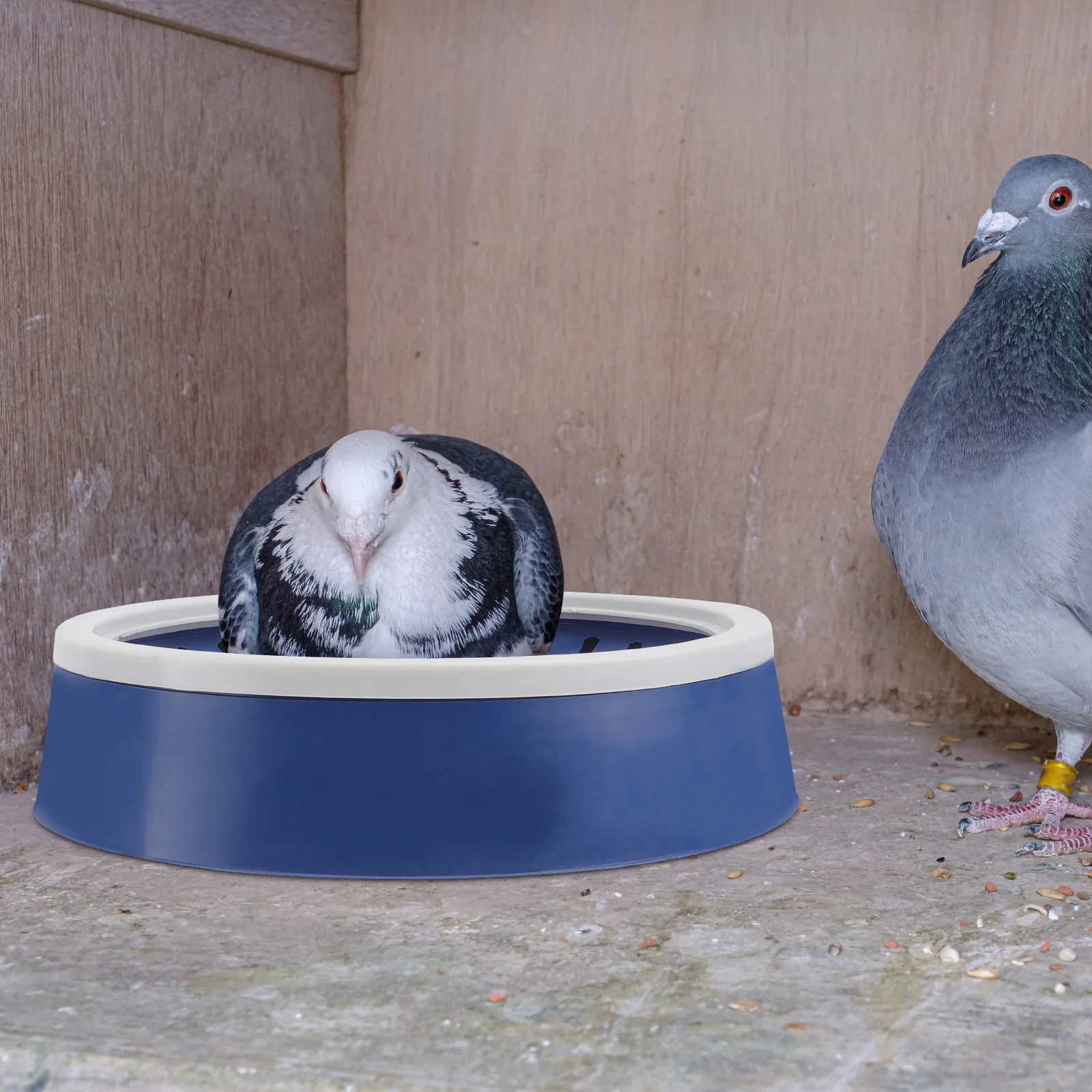 

5pcs Pet Bird Nest Pigeon Egg Nest Bird Egg Container Pet Accessory (White Blue)