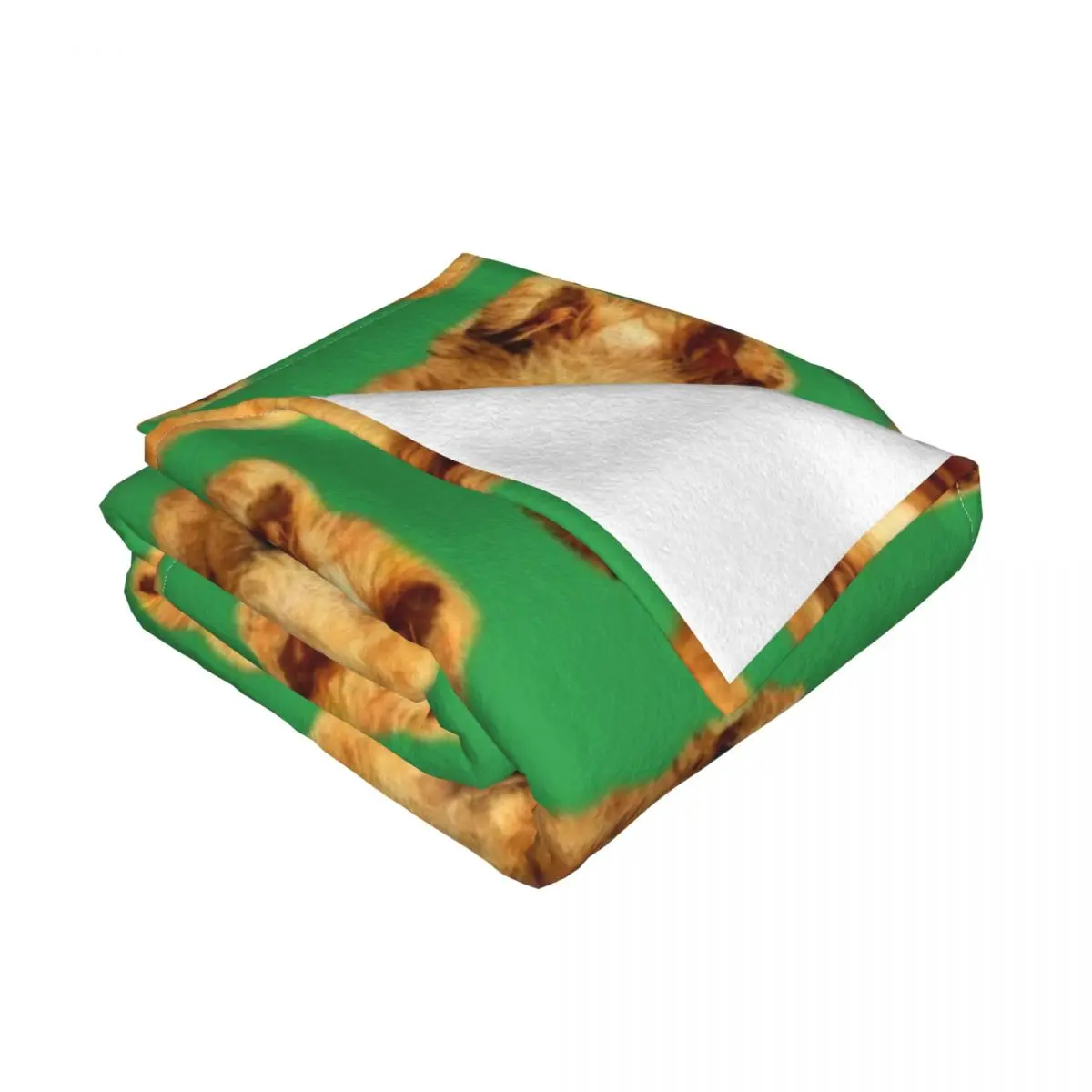 ���̸��� �׸��� ������ ��� �� ���, ������ ���, ���� ���