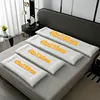 Bonenjoy 1pc Pillow Lengthen Pillow Core 48x100/48x120 Pillow for Home Double Cushion Soft Filling Pillows almohadas para dormir 1