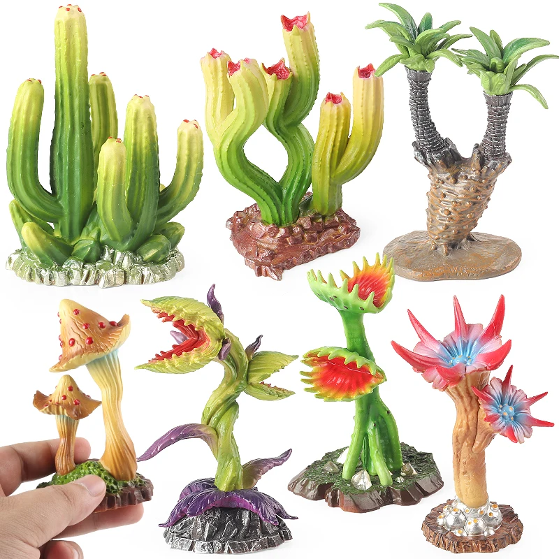 Oenux Chomper Venus Flytrap Drosera indica L. Mushroom Saguaro