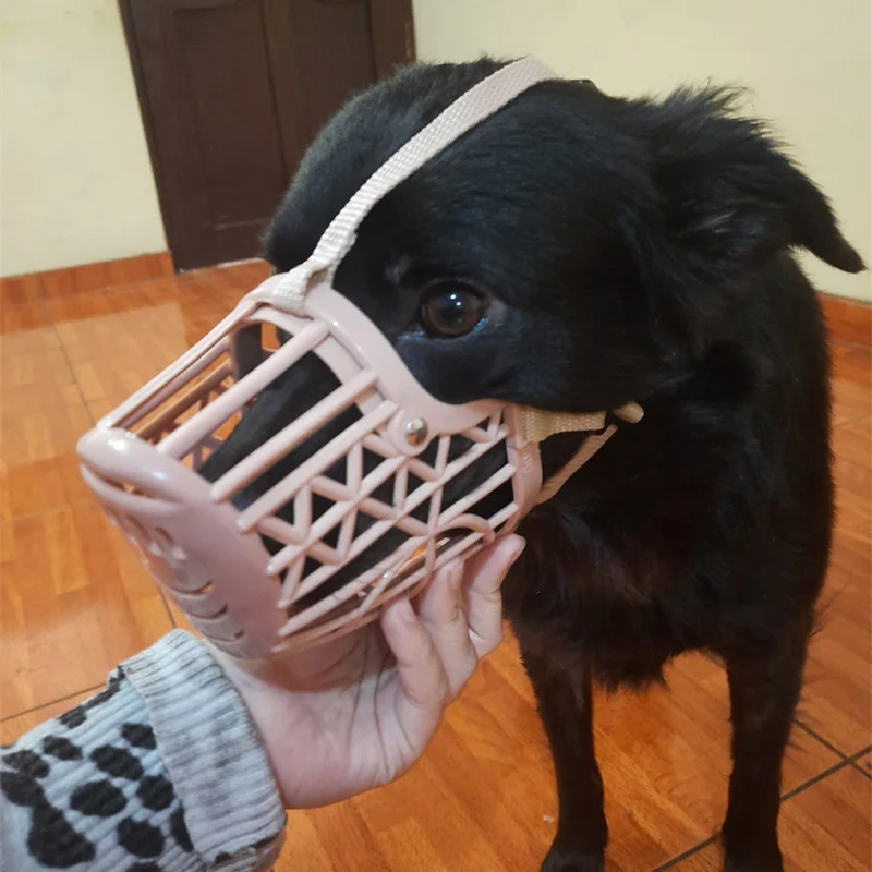 Low Price Anti Biting Dog Basket Muzzles 7 Sizes Pet Mouth Mask for Small Medium Large Dogs Chihuahua Greyhound Puppy Supplies images - 6