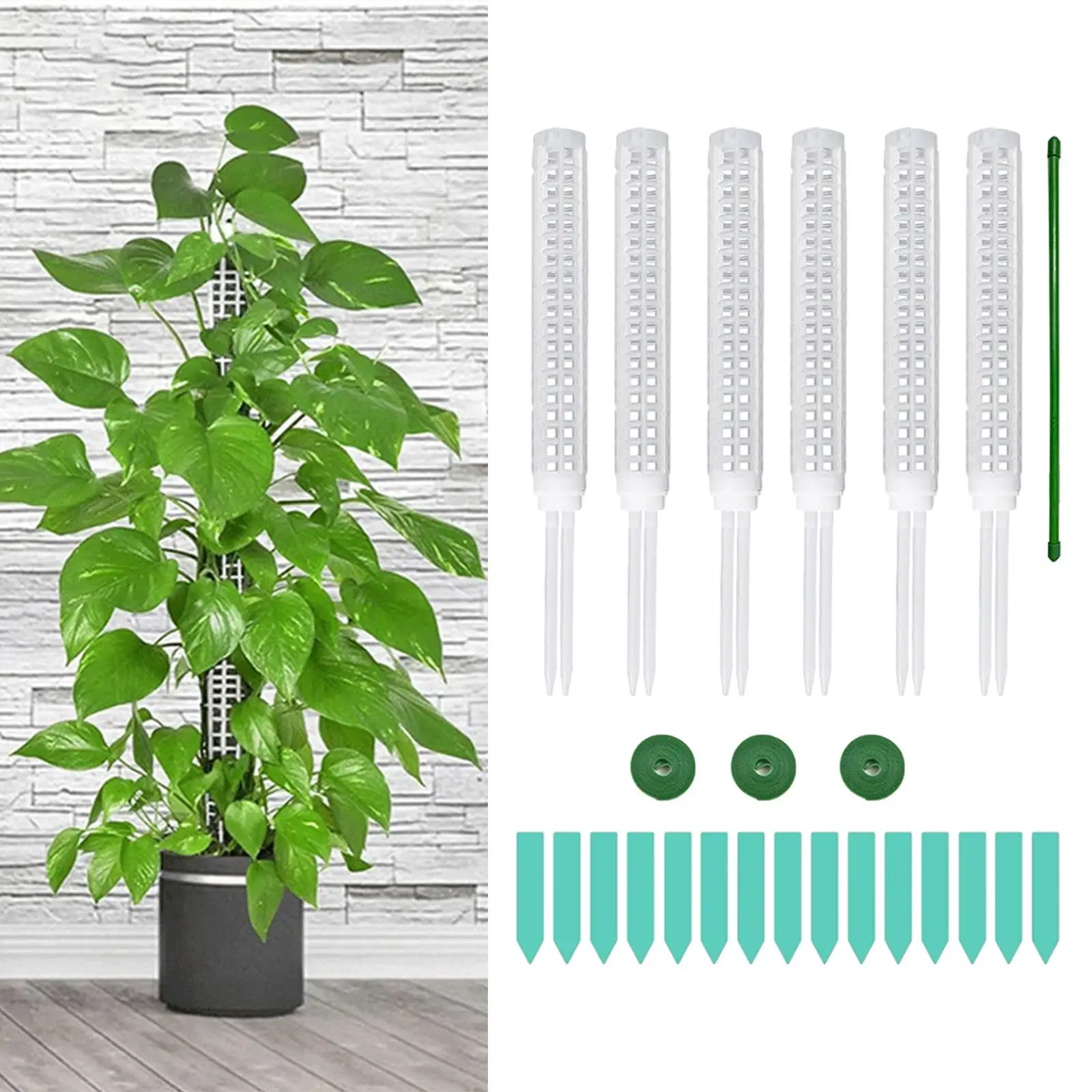 

Штабелируемые моховые палочки для выращивания растений, легкая сборка с садовыми завязками, уличная палочка для выращивания растений, цветов