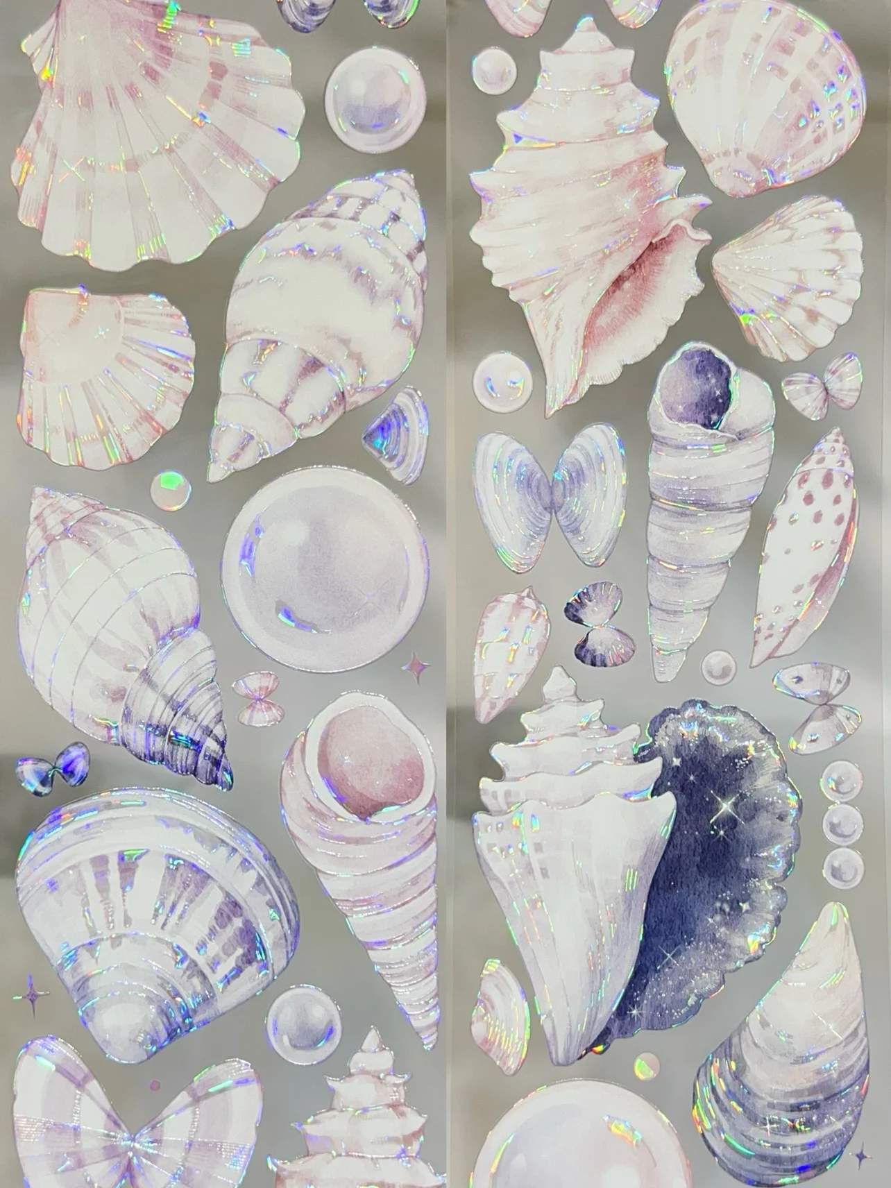 무지개 빛깔의 반려동물 와시 테이프, 바다 아름다운 조개, 1 루프