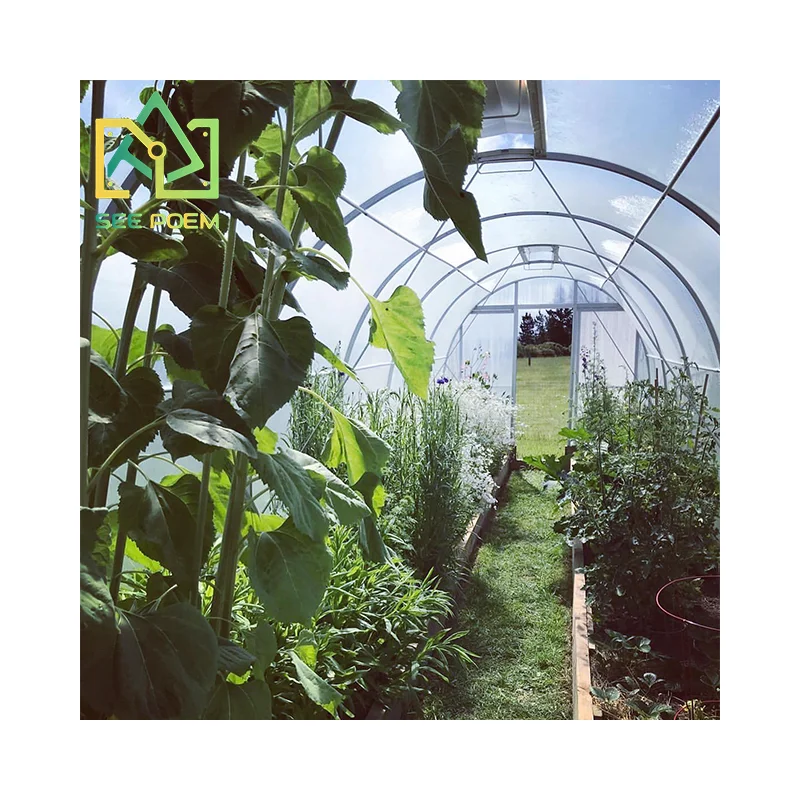 

Metal Frame Garden Big Green House Sunroom Steel greenhouses for garden Planting