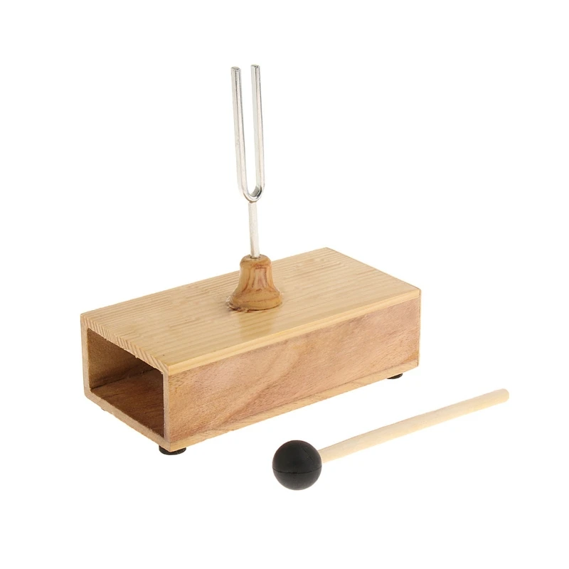 

2024 New Primary School Science Physics Experiment Equipment Teaching Instrument Acoustics 512 Hz Tuning Fork With Resonance Box