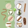 Plant Support Climbing Stakes Bendable Extension for Indoor Green Dill Vine Climbing Plant Garden Access 3