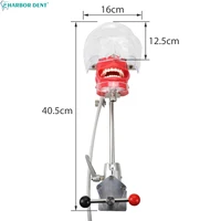 Modèle de tête Simple simulateur dentaire mannequin fantôme avec dents pour dentiste enseignement pratique formation étude équipement de dentisterie 5