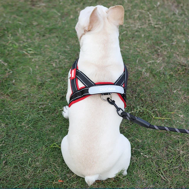French Bulldog Harness - No-Pull Padded Vest, Escape-Proof Chest Plate, Breathable Mesh for Flat-Faced Breeds 5