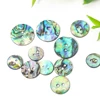 10PC Real New Zealand Abalone Shell Sparkling Round 2-hole Flatback Button Spacer Pendant Scrapbook Apparel Sewing Embellishment 3