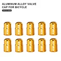 Gold 10pcs