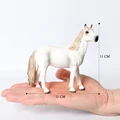 Wild horse