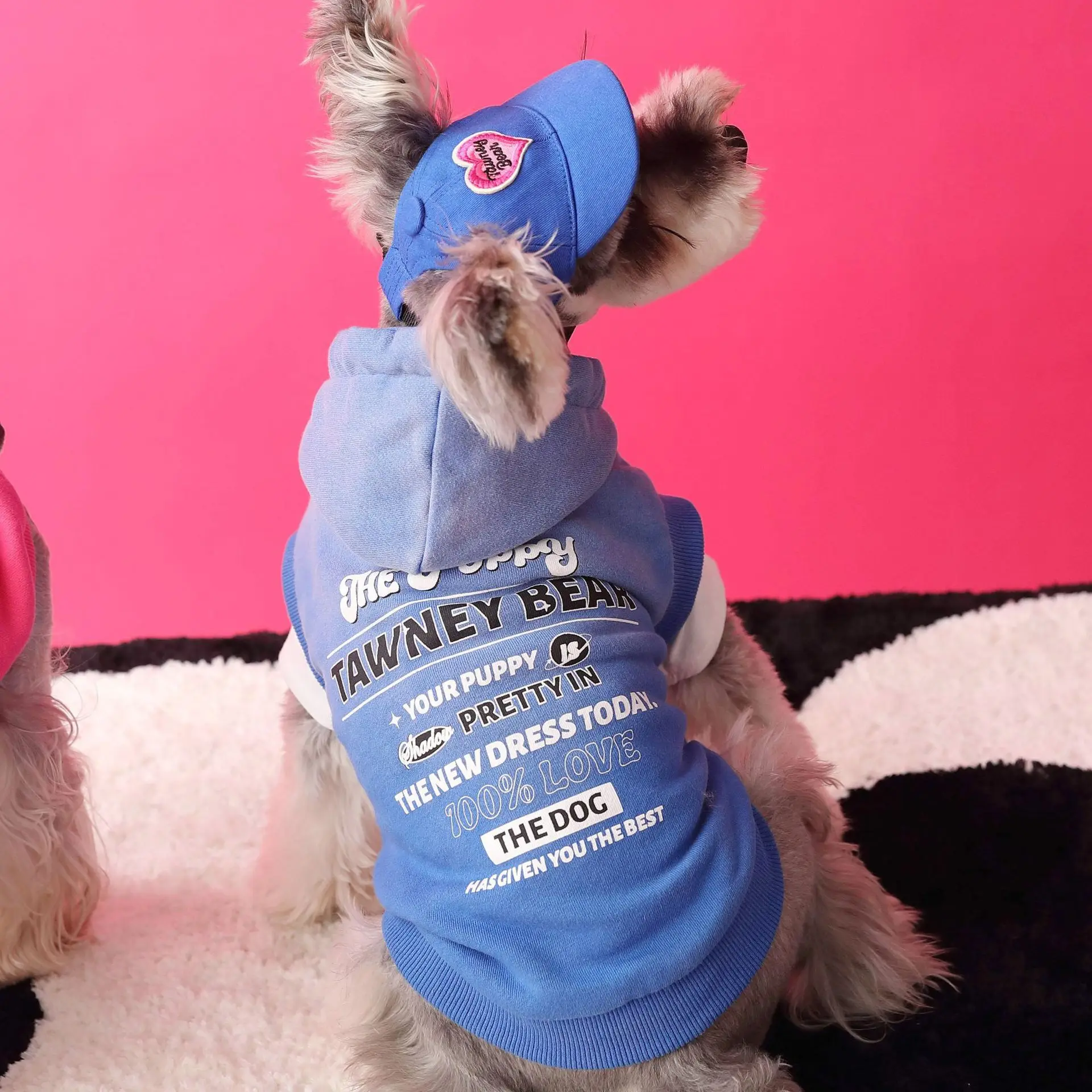 Ropa para perros primavera otoño Schnauzer osos Teddy perro Shiba estampado letra gradiente sin mangas sudadera con capucha para mascotas 강아지옷 одежда для собак