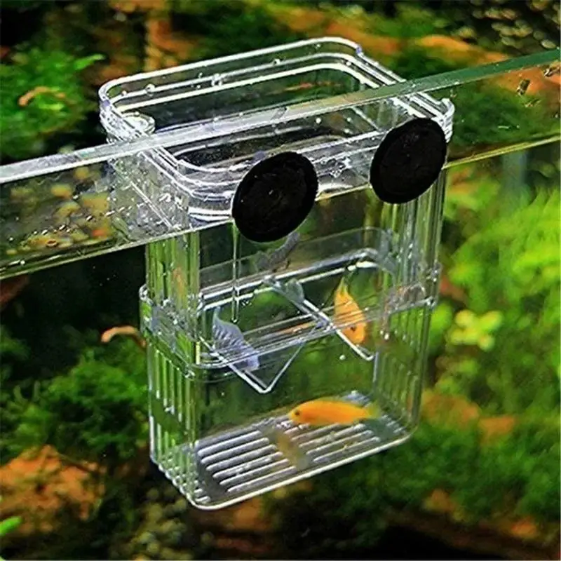 Aquarium Breeding Isolation Box 3