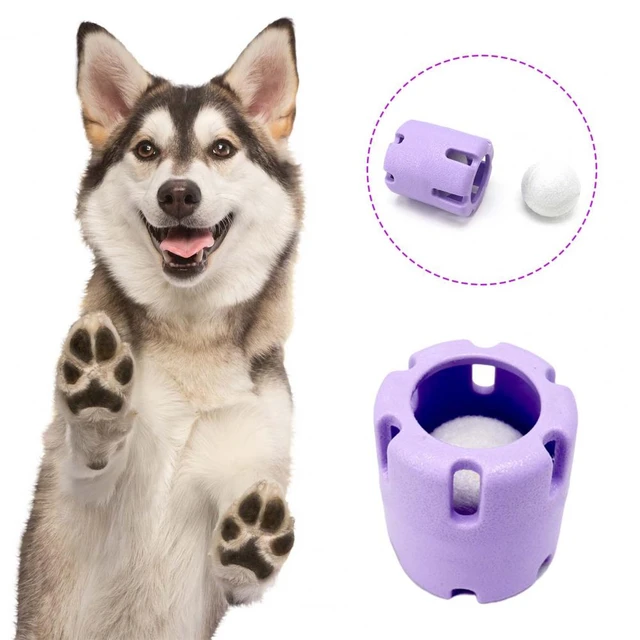 Pet Supplies : Pet Chew Toys : KONG Wobbler - Interactive Dog Feeder Toy -  Slow Feeder Toy for Dog Mental Stimulation - Dog Enrichment Toy - Treat  Puzzle for Dog Entertainment - Food Dispense Dog Toy - Large Dogs 