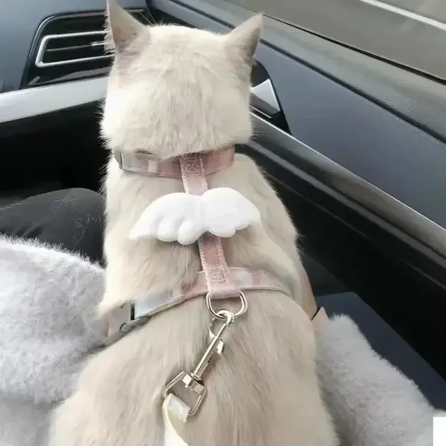 고양이 Cute Cartoon Cat Harness Walking Pet Harnesses and Leash Set for Cats Gatos Kitten Garfield mascotas Accessories Supplies 고양이 Cute Cartoon Cat Harness Walking Pet Harnesses and Leash Set for Cats Gatos Kitten Garfield mascotas Accessories Supplies