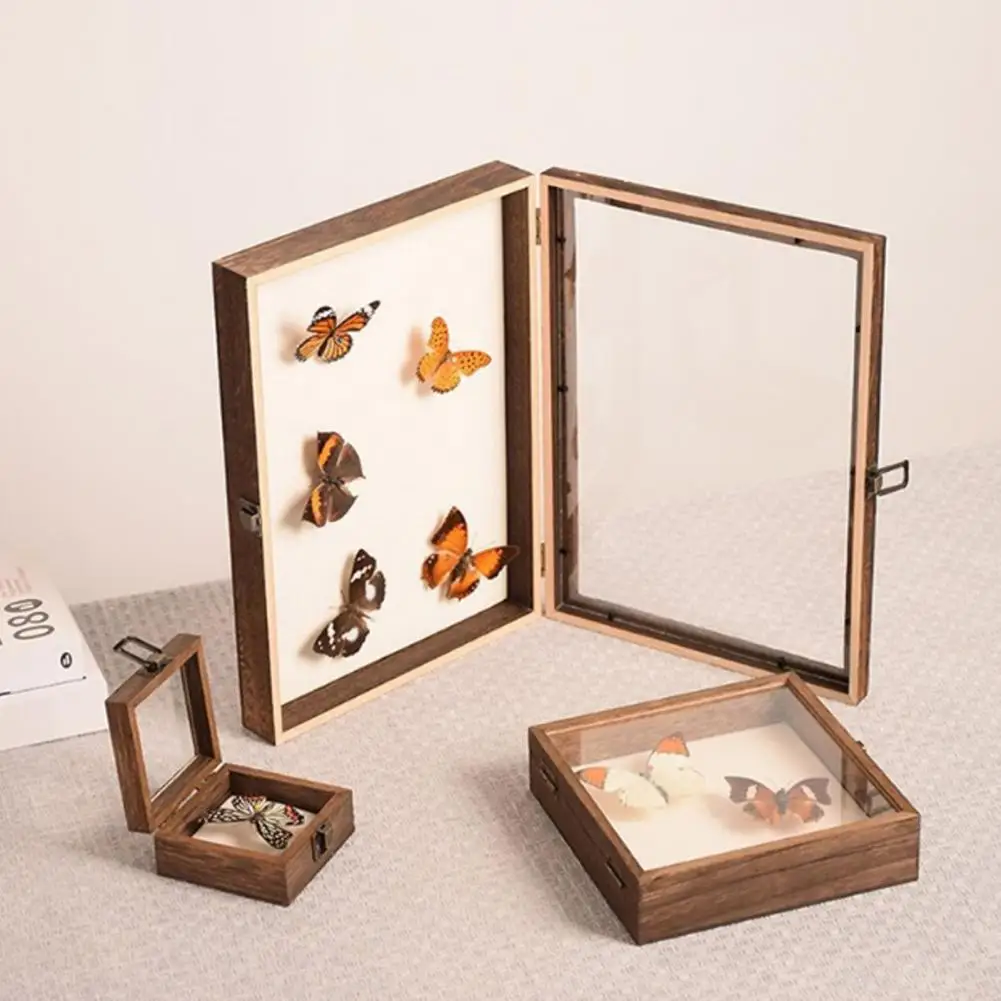 Showcase Box Display Case Wood Specimens Display Case with Smooth Edges High-visibility Shadow Box for Storage Showcase Multiple