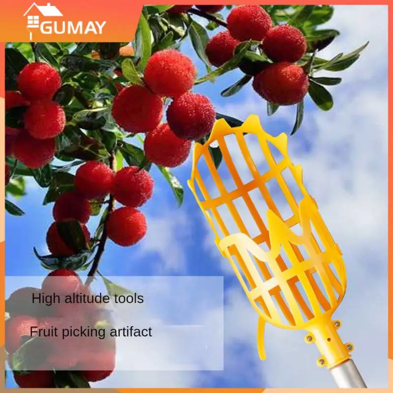 

Picking Head Fruit Picker Robust Structure Ease Of Use Convenient Storage Easy Operation Garden Peach Catcher Save Time