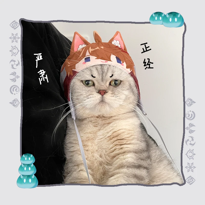 

Аниме геншин ударная тартаглия маленькая кошка одежда шляпа Головной убор Косплей костюмы фотографировать реквизит