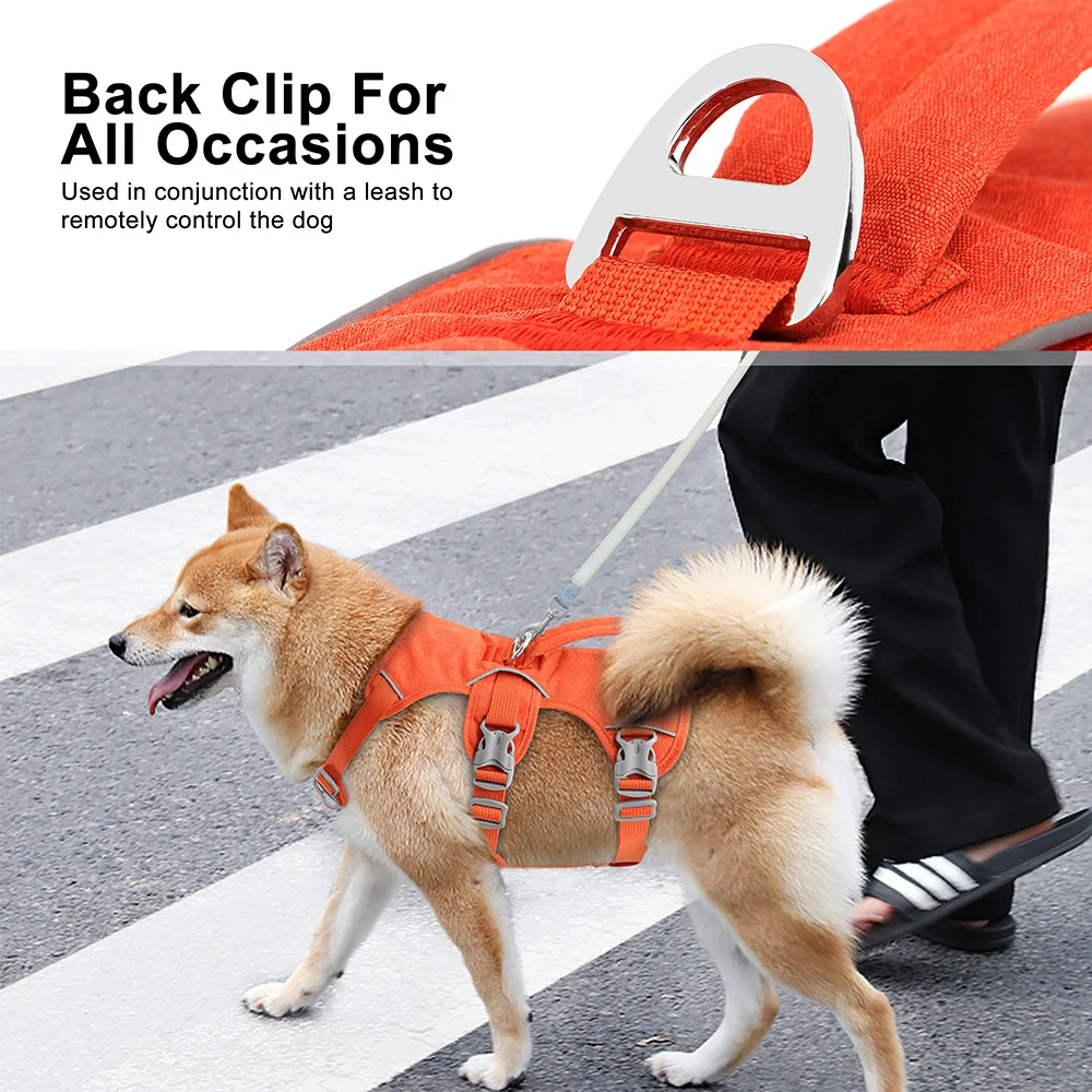 Escape Proof Nylon Dog Harness 4