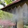 10-30M Outdoor Misting Cooling System 4/7PVC Garden Irrigation Watering Adjustable 1/4'' Brass Atomizer Nozzles Micro Sprinklers 5