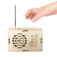 DIY Radio Model Science Kits Crafts Educational Classroom Teaching Building Set 2