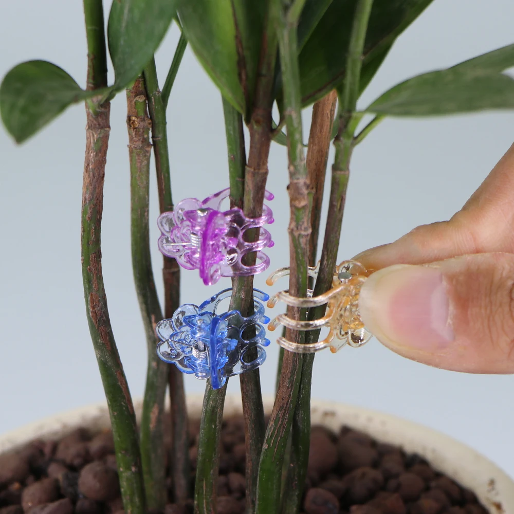 Multi-Pack 6-Color Plant Support Clips for Garden and Climbing Vines