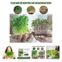 

Novel Plant Starting Pot Practical Compact Reusable Visible Plant Nursery Pot Nursery Pot Planting Nursery Pot 1 Set