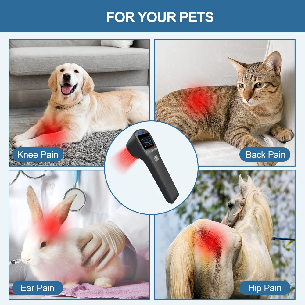 ZJKC Professional MLS Laser Therapy Device 650nm 808nm for Sport Injuries Arthritis Heel Spurs Pain Relief for Pet Cat Dog Horse