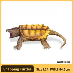 Sea Life Leatherback Turtle Educational Play Figurine (Snapping Turtles)