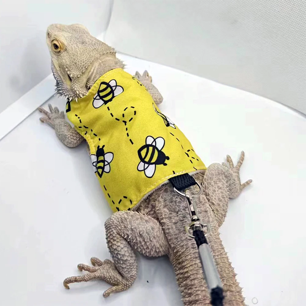 Lizard Harness and Traction Rope Reptile Training Traction Rope Vest Bearded  Dragon Harness and Leash For Lizard Chameleon - AliExpress