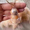 Pet Hair Keepsake Box Transparent Storage Container for DIY Decoration Memorial Gift for Pet Lovers Home Display 2