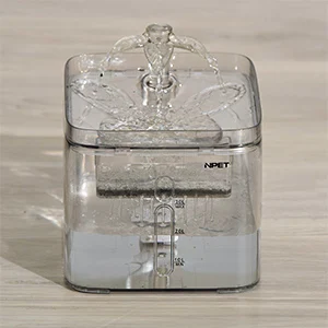 cat water fountain
