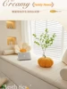 Customized Teddy Sponge Windowsill Cushion 4.5/6.5/9.5 Cm High-Density Sponge Cushion Waterproof Non-Slip Cushion Sofa Cushions 1