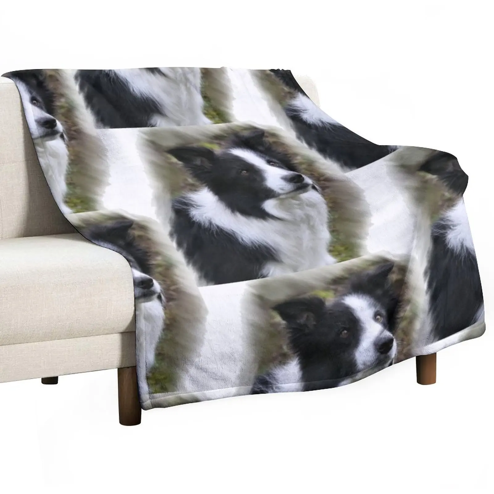 

Border Collie Lover s Gifts Throw Blanket Blankets For Sofas Winter bed blankets Luxury Brand Blanket Large Blanket