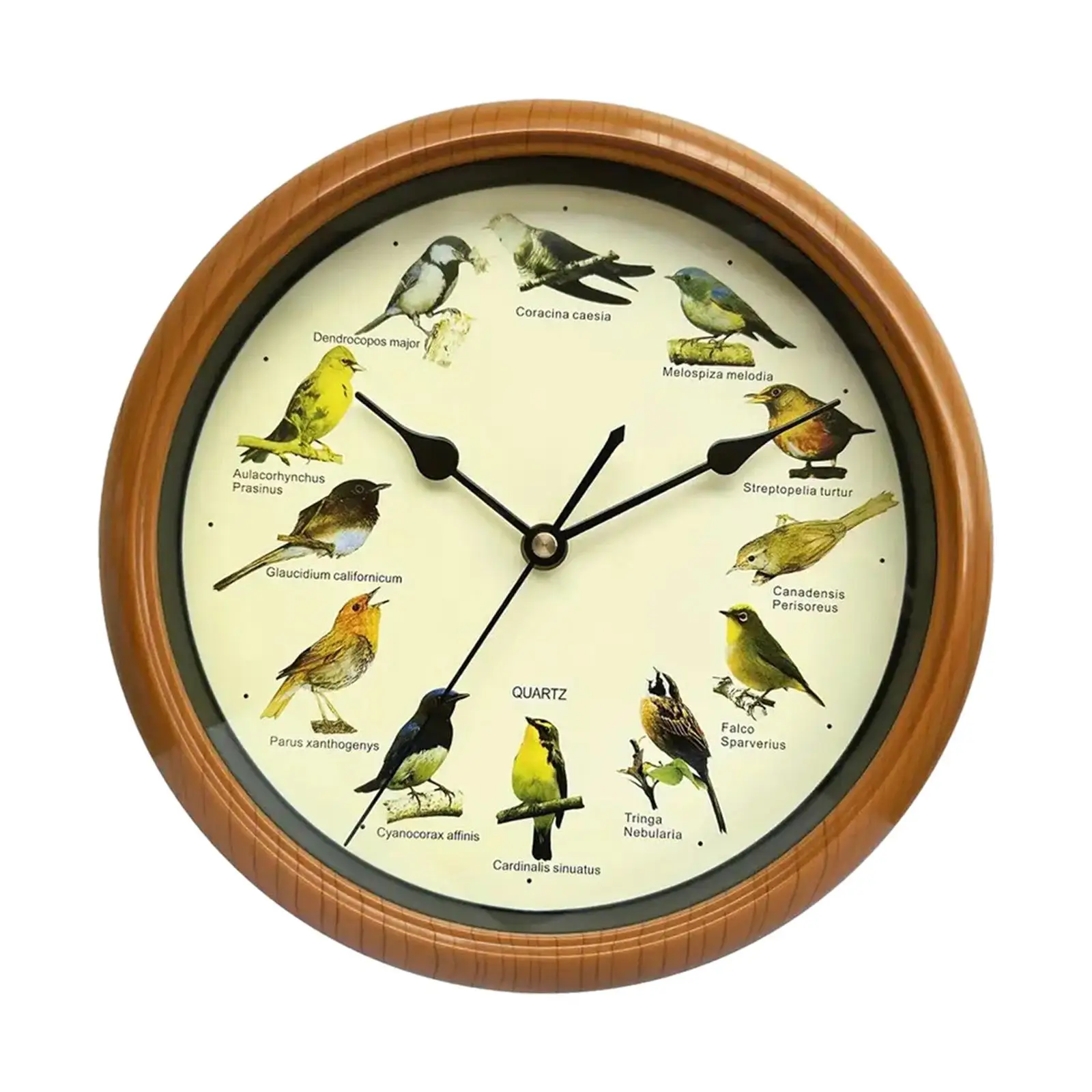 Wall Clock Versatile Home Decoration Hanging Clock Minimalist Round Clock for Kitchen Anniversary Office Kids Room Decoration